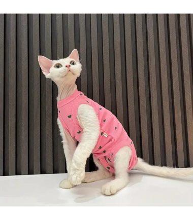 pijama-post-operatoria-gatos-costa-rica