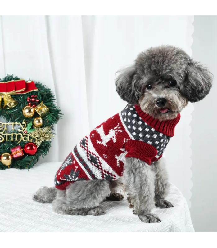 sueta-de-navidad-perros-gatos-costa-rica suetér-navideño-mascotas-costa-rica