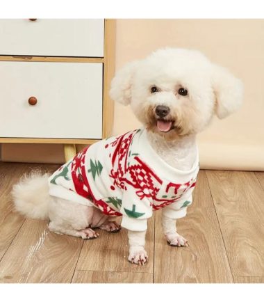 suetér-navideño-mascotas-costa-rica