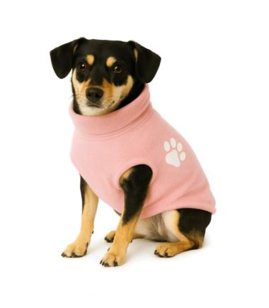 sueter-perros-costa-rica