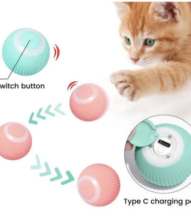 bola-interactiva-gato-costa-rica