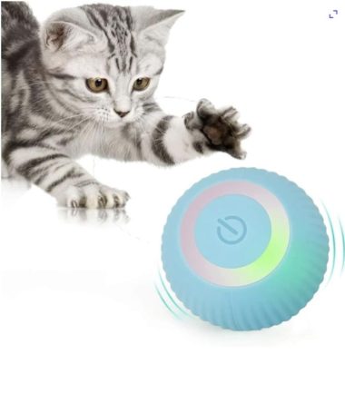 bola-automática-gatos-costa-rica