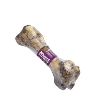 hueso-perro-grande-costa-rica