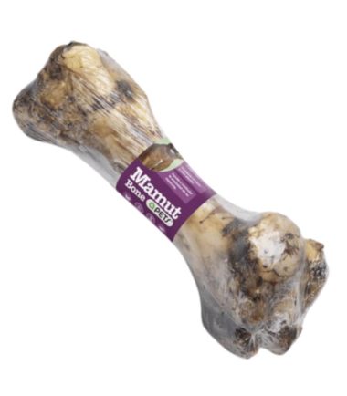 hueso-grande-perros-costa-rica