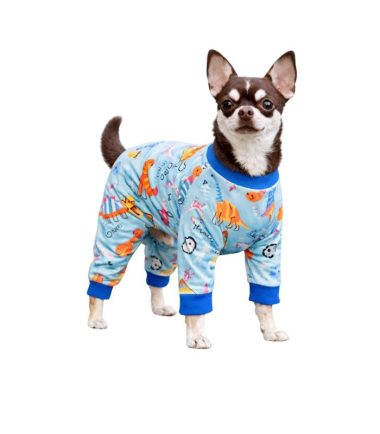 pijama-perro-dinosaurios-costa-rica ropa-perro-costa-rica