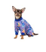 ropa-perro-costa-rica