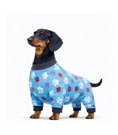 ropa-perro-costa-rica