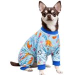 ropa-perro-costa-rica