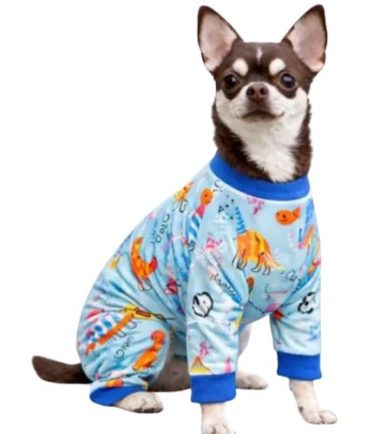 ropa-perro-costa-rica