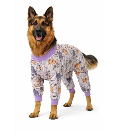 pijama-larga-perro-costa-rica