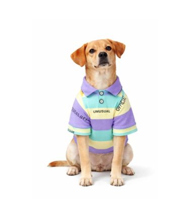 sueta-perros-costa-rica