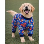 pijama-larga-perro-costa-rica