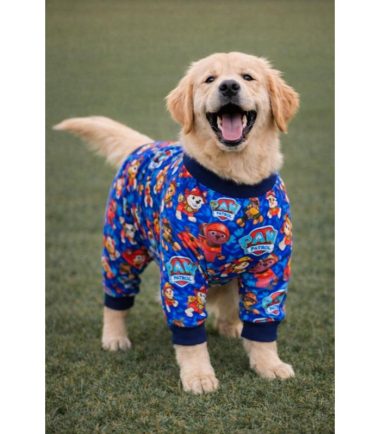 pijama-larga-perro-costa-rica