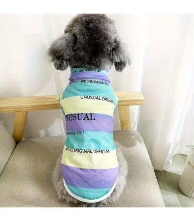 sueta-perros-costa-rica