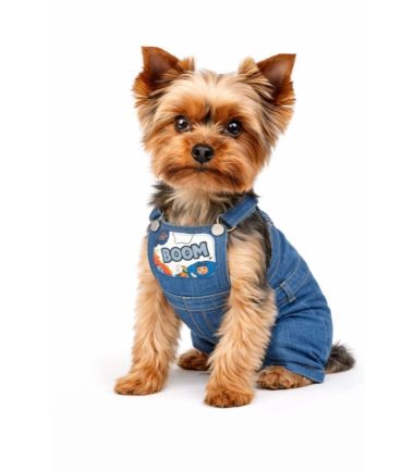 overol-para-perros-costa-rica