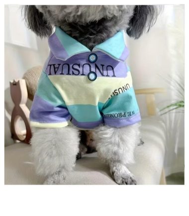 sueta-perros-costa-rica