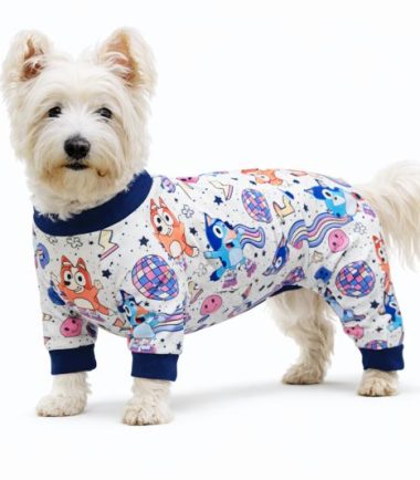 ropa-perro-costa-rica