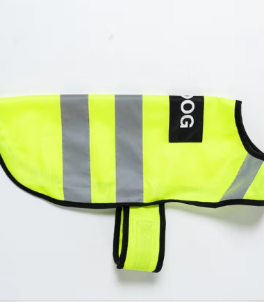 chaleco-reflectante-perros-noche-costa-rica