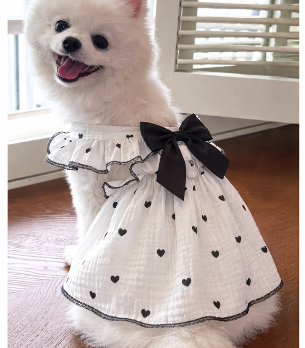 vestido-negro-laso-hembra-costa-rica