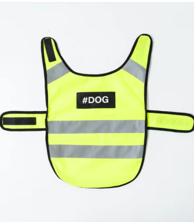chaleco-reflectante-perros-noche-costa-rica