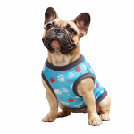 Camisa-perro-Huellas-S-Costa Rica