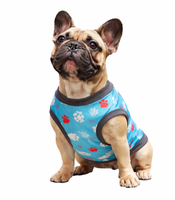 Camisa-perro-Huellas-S-Costa Rica