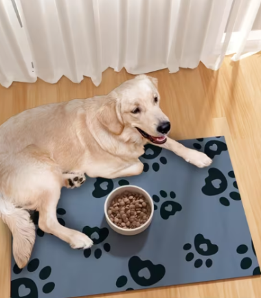 alfombra-tazas-perros-comida-orden-costa-rica alfombra-tazas-perros-comida-orden-costa-rica