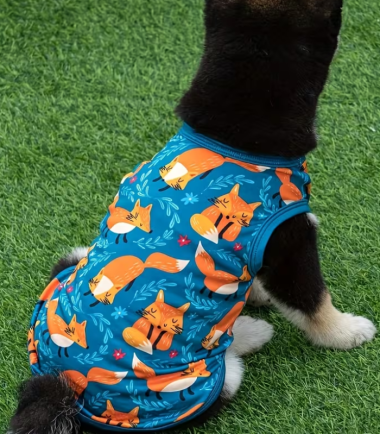 Abrigo-perro-diseño-zorro-CostaRica