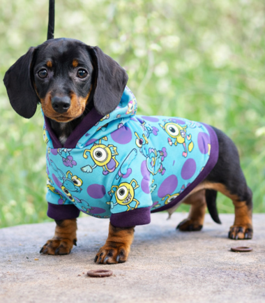 Sueter-perro-Monster-INC-XS-Costa Rica