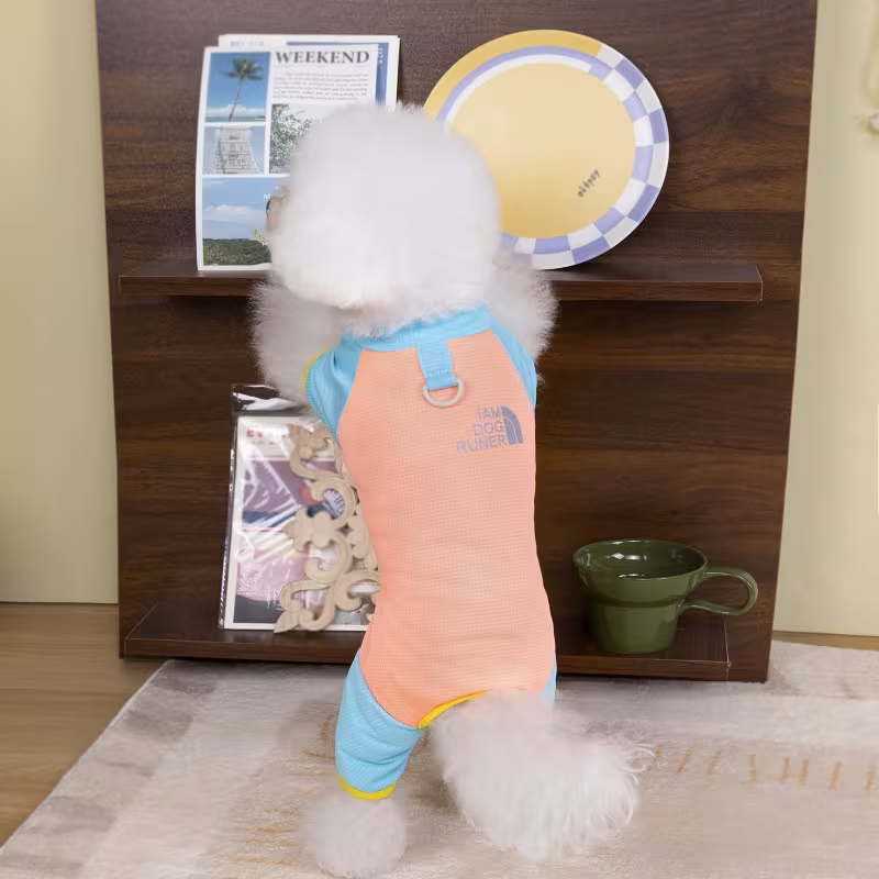 Diseño sin título (1)