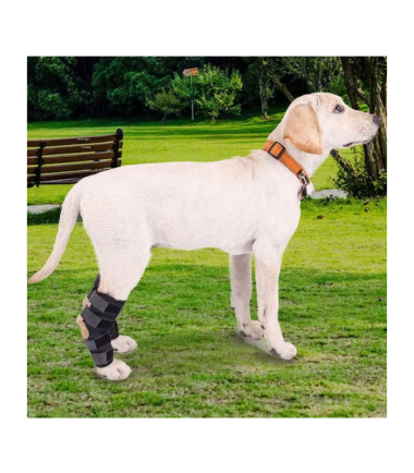 soporte-de-rodilla-perros-L-costa-rica
