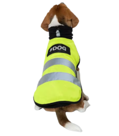 chaleco-reflectante-perros-noche-costa-rica