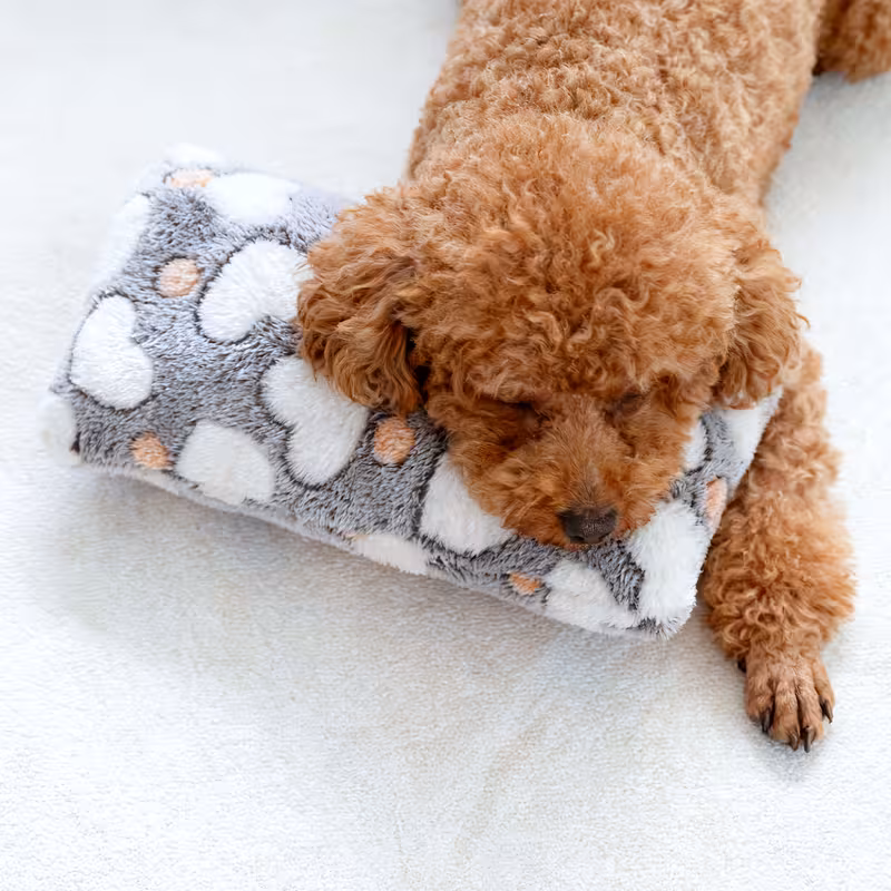 Diseño sin título (2)