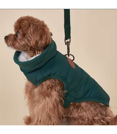 Chaleco-para-perro-color-m