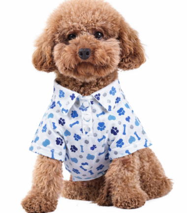 camisa-elegante-perros-costa-rica