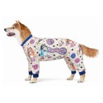 Pijama-Bluey-para-perro-costa-rica