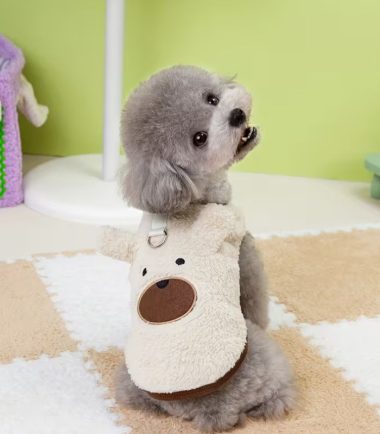 abrigo-oso-perro-costa-rica