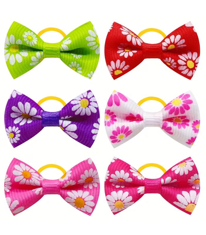 lazos-perro-diseño-costa-rica lazos-perro-diseño-costa-rica