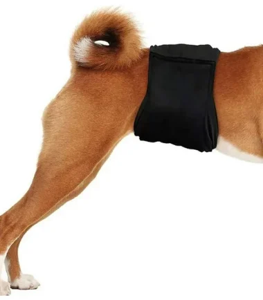 Pañal Reutilizable Perro Macho