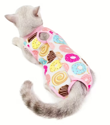 body-gatos-Costa-Rica