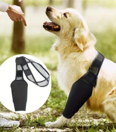 soporte-de-rodilla-perros-L-costa-rica