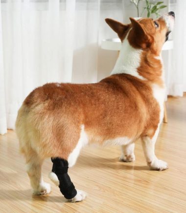 Soporte de Rodilla para perro con varilla