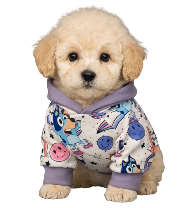 Sueter-perro-bluey y bingo- 2xs- CostaRica