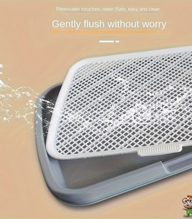 WhatsApp Image 2026-02-12 at 5.03.59 PM