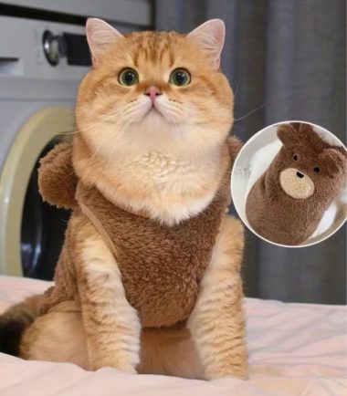 abrigo-gato-costa-rica