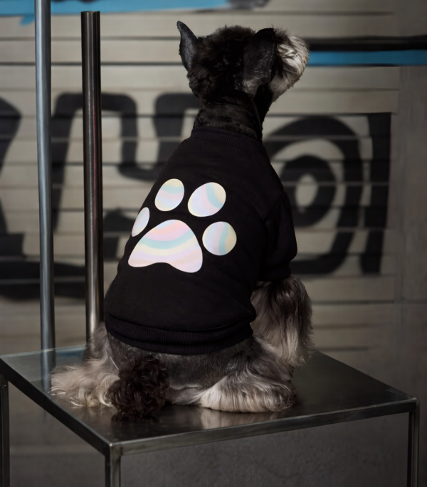 Sudadera-perro-huella-mascota-negro-3XS-costa-rica