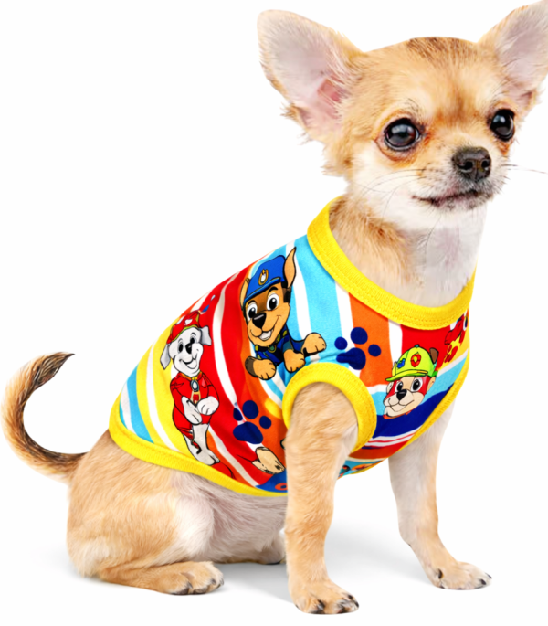 Camiseta-perro-verano-2XS-Costa Rica