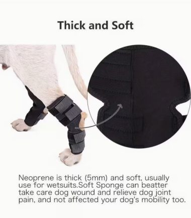 soporte-de-rodilla-perros-L-costa-rica
