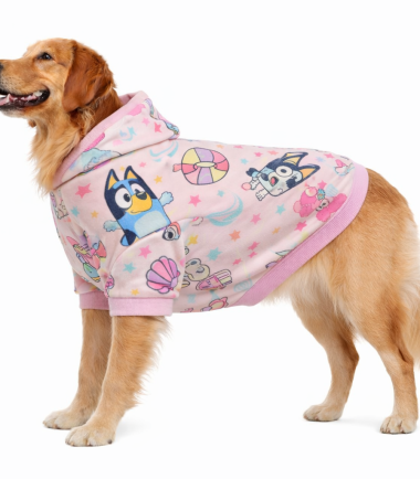 sueta-Bluey-para-perros-costa-rica sueter-Bluey-para-perro-costa-rica