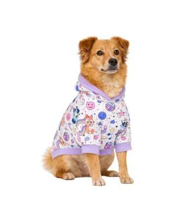 abrigo-para-perro-costa-rica